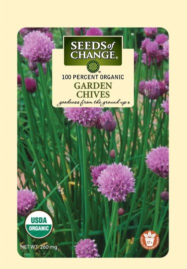 Garden chives have purple flowers.