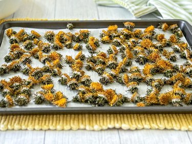 dried dandelion flowers on a baking sheet lined with parchment paper