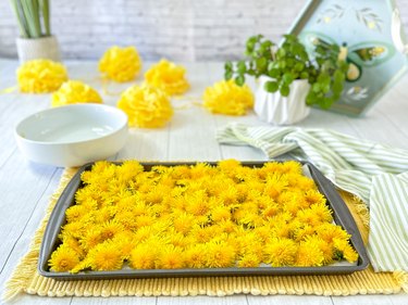 dandelion flowers spread on a baking sheet lined with parchment paper