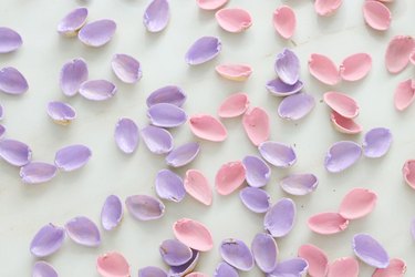 Light purple and pink pistachio shells