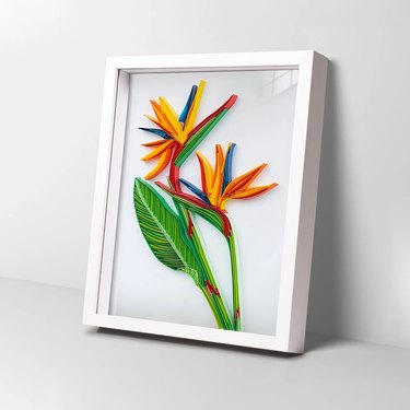 Paper quilling kit that creates a colorful Bird of Paradise that's framed inside a white shadow box against a white background.