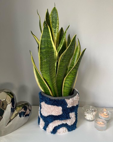 Blue and white tufted plant pot holder with a green leafy plant inside