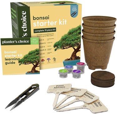 Planter's Choice Bonsai Starter Kit