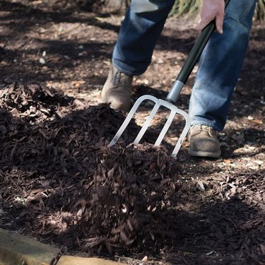 Sturdy garden fork