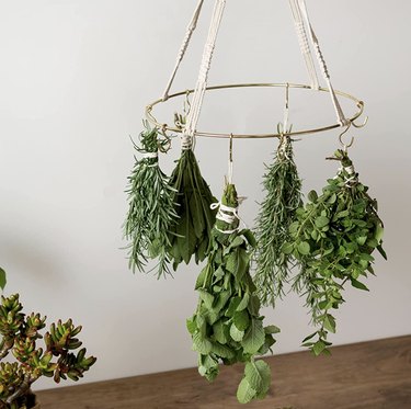 Gold hoop suspended from macrame with hanging herbs off hooks.