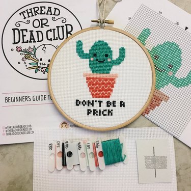 Funny adult cross stitch kit - Quote embroidery kit with easy counted  pattern