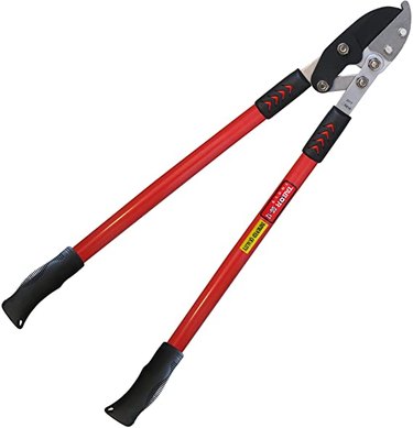 Anvil loppers with super long red handles and black rubber handle grips against a white background.