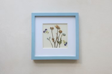pressed florals on card stock framed inside a blue frame
