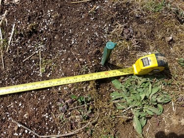 Measuring tape and peg, marking the width of a future garden bed.