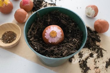 Seed bomb in flower pot
