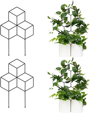 small plant trellis