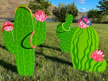 finished cactus ring toss game