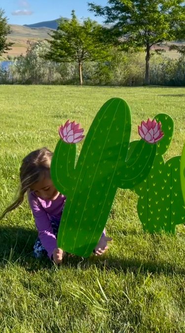 Push cactus stakes into the ground