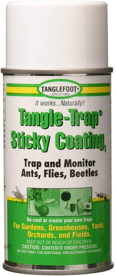 Spray Tangle-Trap on insect barrier band