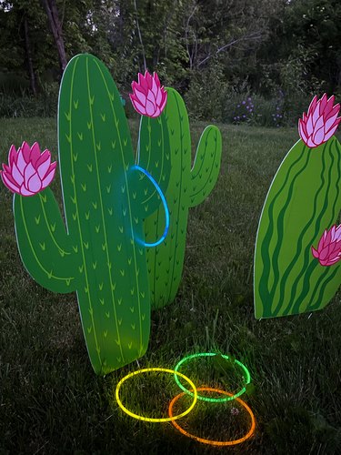 nighttime cactus ring toss