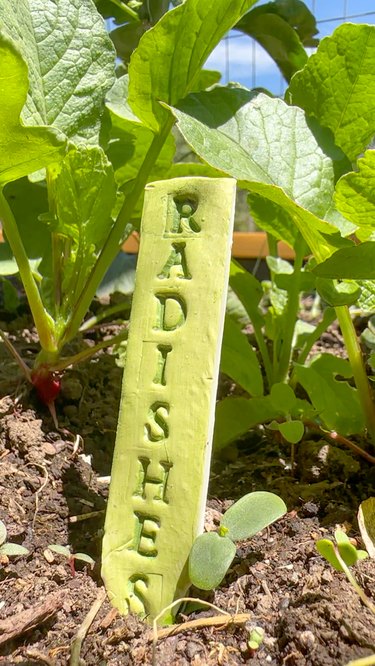 Finished clay radish garden marker next to a radish plant