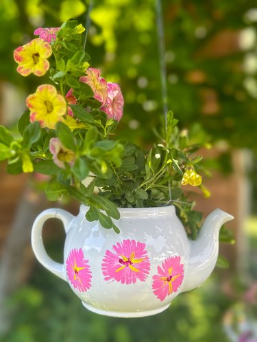 Finished teapot planter