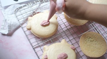 Piping on pink chocolate for cows' snouts