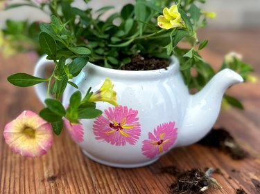Flowers planted in teapot