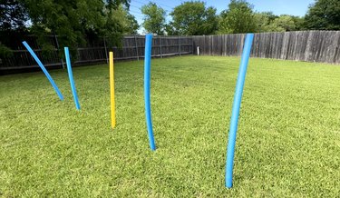 Pool Noodle Obstacle Course