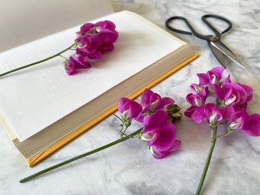 An open book with beautiful purple flowers inside and surrounding it