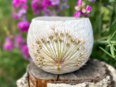 A finished pressed-flower paper lantern with star allium