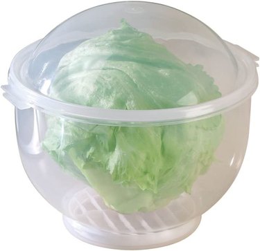 Head of lettuce inside a closed lettuce container
