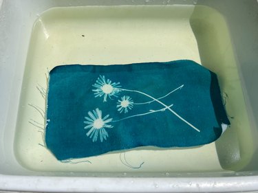 rinse cyanotype solution out of fabric in cool water