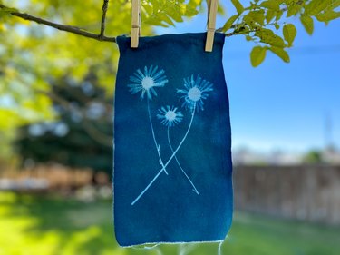 Finished solar print hanging in a tree in the sunshine