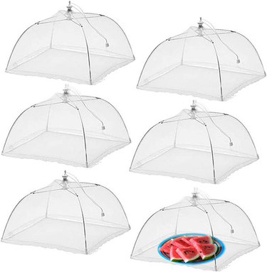 Six white mesh  pop-up food covers for outdoor dining, one covering a plate of watermelon