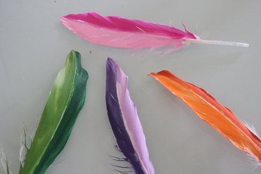 feathers painted in two colors