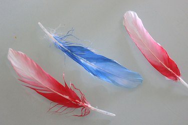 ombre-colored feathers