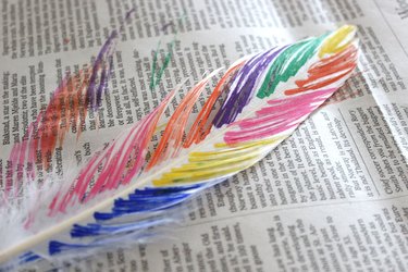 rainbow colors on a feather