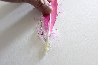 feather glued on the paper