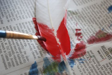 red watercolor paint at the bottom of the feather