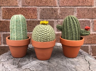 Three knit cactus plants in terra-cotta pots