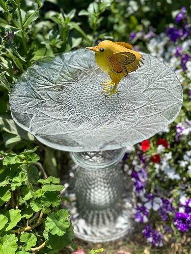 finished glass bird bath vertical