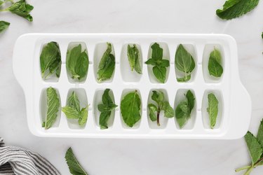 Fill ice cube tray with water