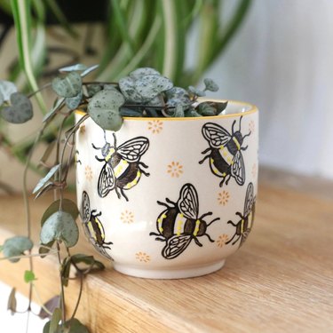 Bee planter pot