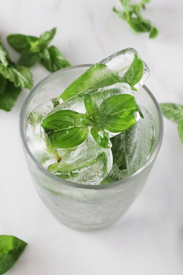 Mint and basil ice cubes in drink