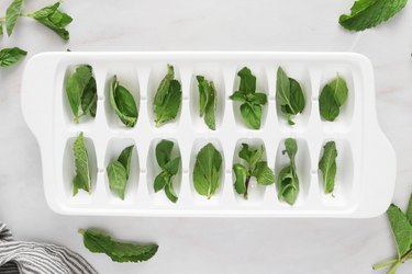 Mint and basil in ice cube tray