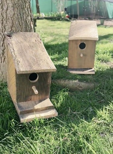 Two rustic wooden birdhouses on green grass