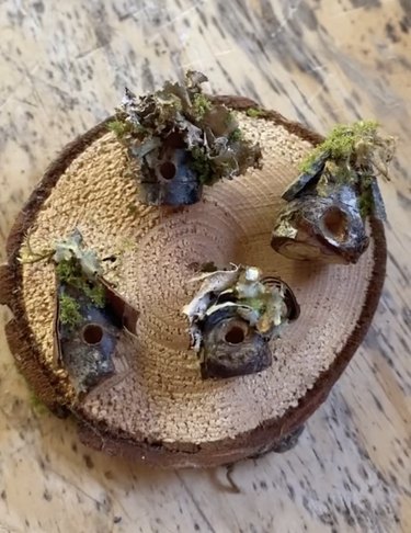Four tiny wood birdhouses with moss roofs on a tree trunk slice