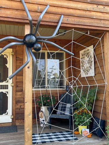 finished giant spider in web