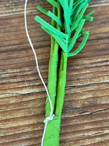 closeup of knot on flower stem