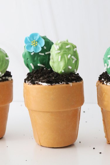 Cactus cake ball dirt cups