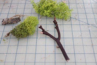 twig and moss