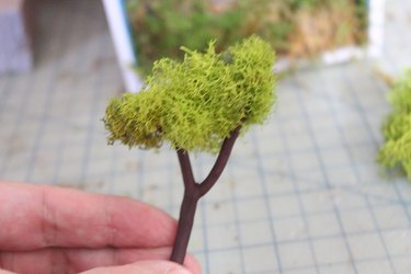 miniature tree