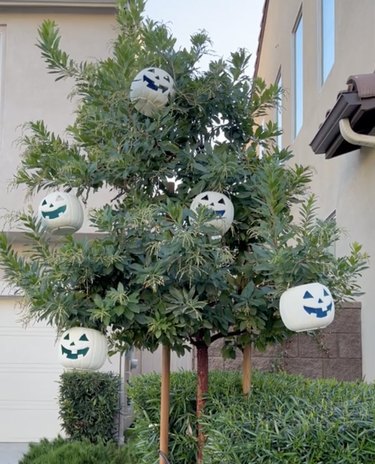 Tree featuring painted jack-o'-lantern buckets hanging on branches