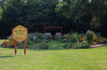 Green lot with a flower garden and yellow sign reading "Detroit Hives"